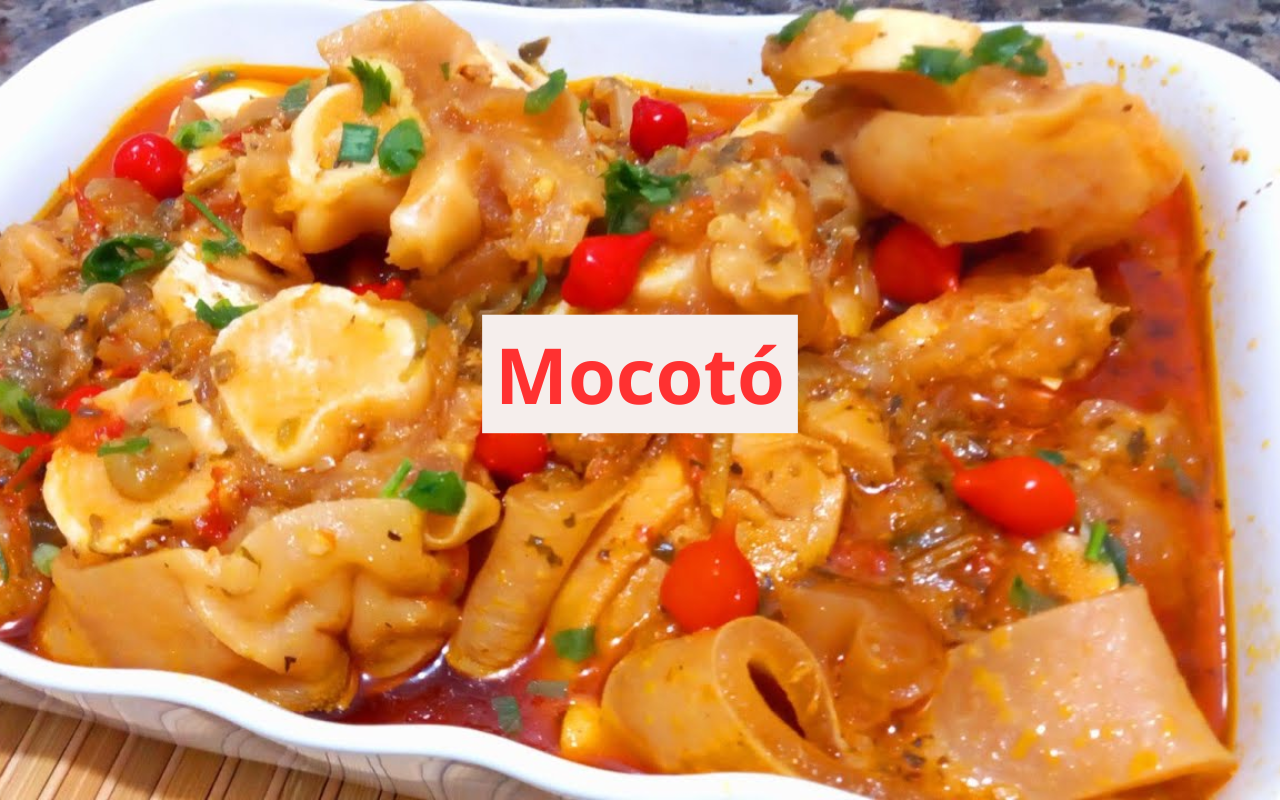 Mocotó